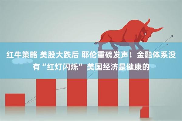 红牛策略 美股大跌后 耶伦重磅发声！金融体系没有“红灯闪烁” 美国经济是健康的