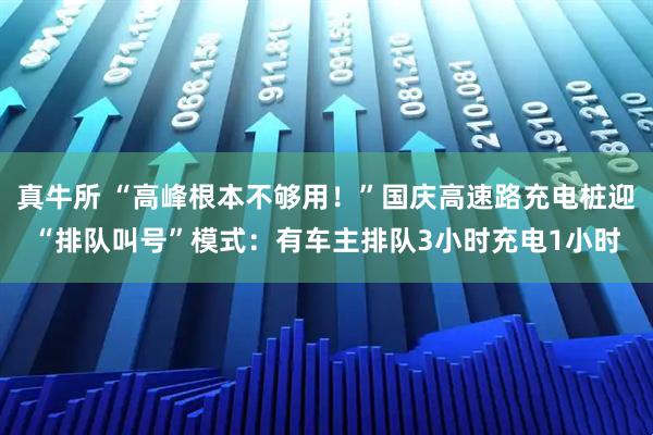 真牛所 “高峰根本不够用！”国庆高速路充电桩迎“排队叫号”模式：有车主排队3小时充电1小时